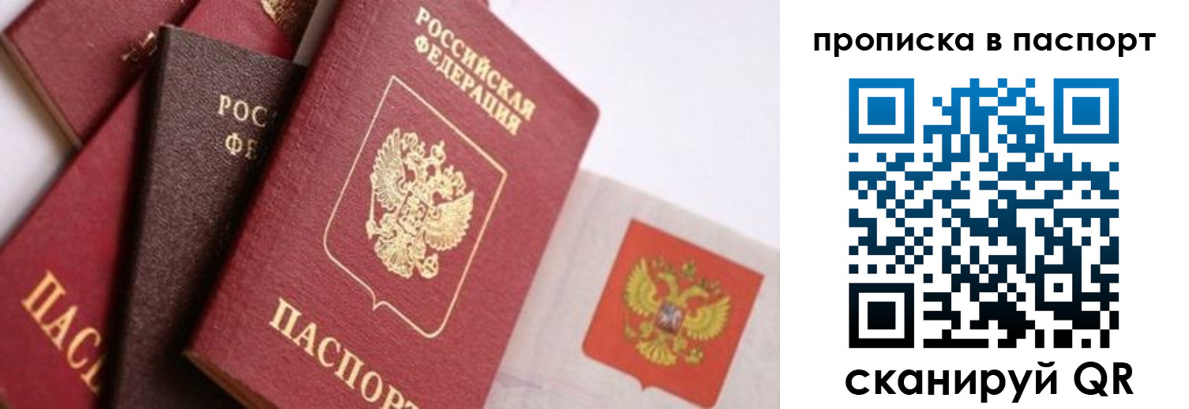 регистрация для школы в Сельцо
