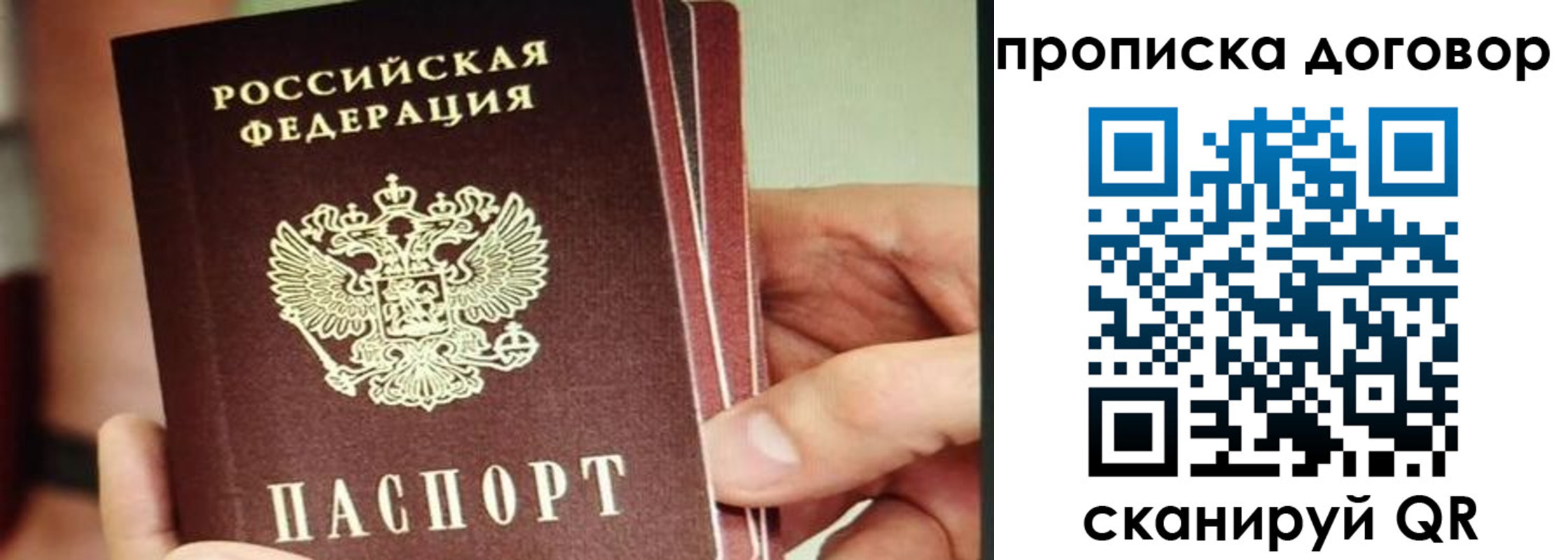 прописка в Сельцо